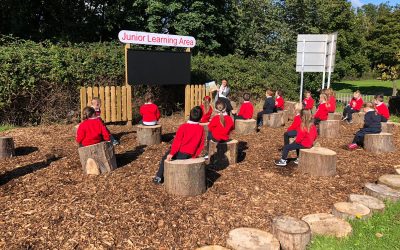 Our New Outdoor Classrooms